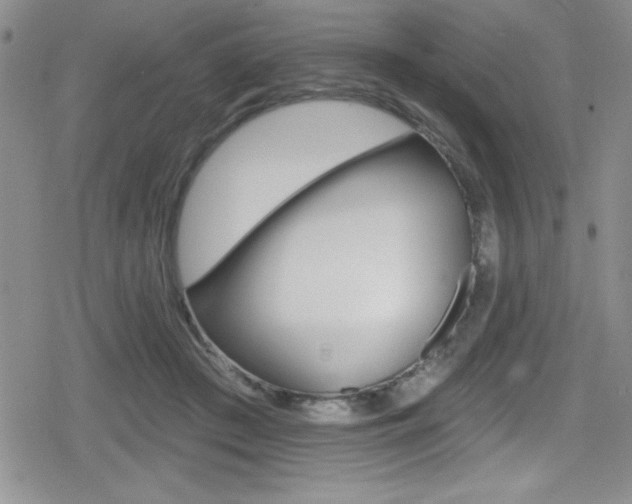 X0000080130409200612081001