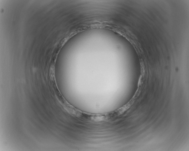 X0000080130419200612081001