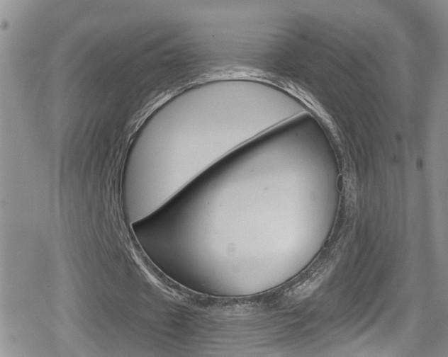 X0000080130433200612081000