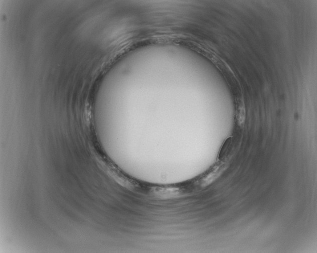 X0000080130476200612081001