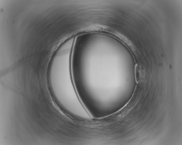 X0000080130485200612081000