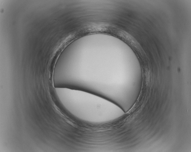 X0000080130490200612081000