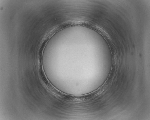 X0000080130494200612081000