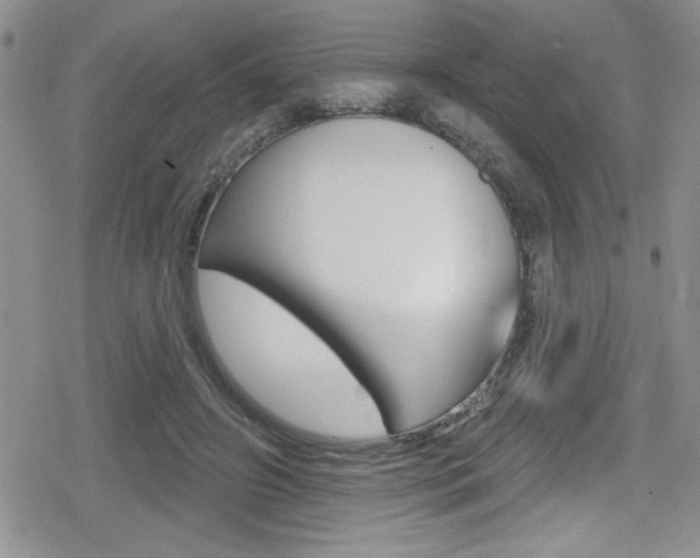 X0000080130498200612081000