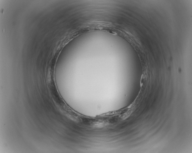 X0000080130504200612080959
