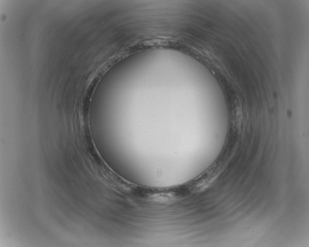 X0000080130508200612080959
