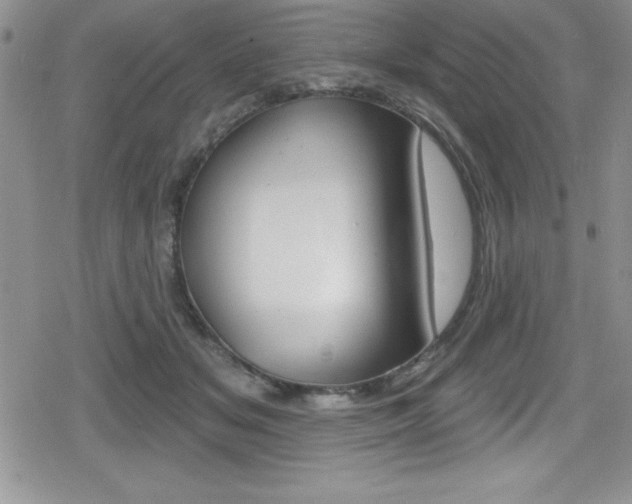X0000080130509200612080959