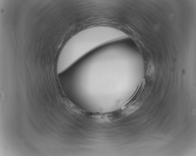 X0000080130524200612080959