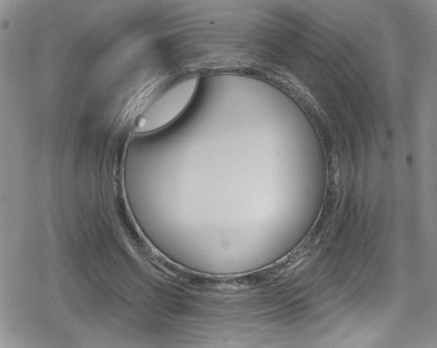 X0000080130542200612080958