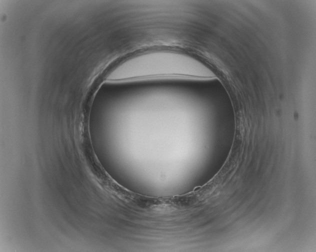 X0000080130544200612080958
