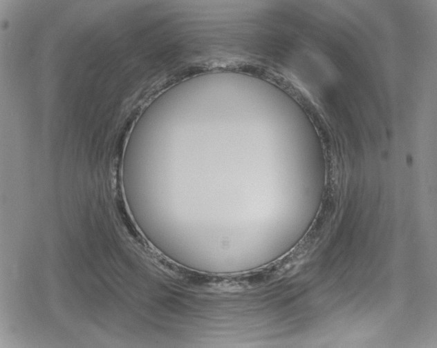 X0000080130545200612080959