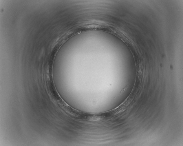 X0000080130547200612080959