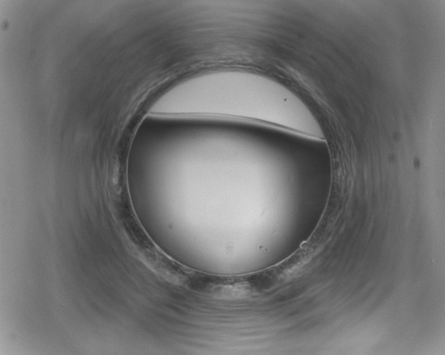 X0000080130548200612080959