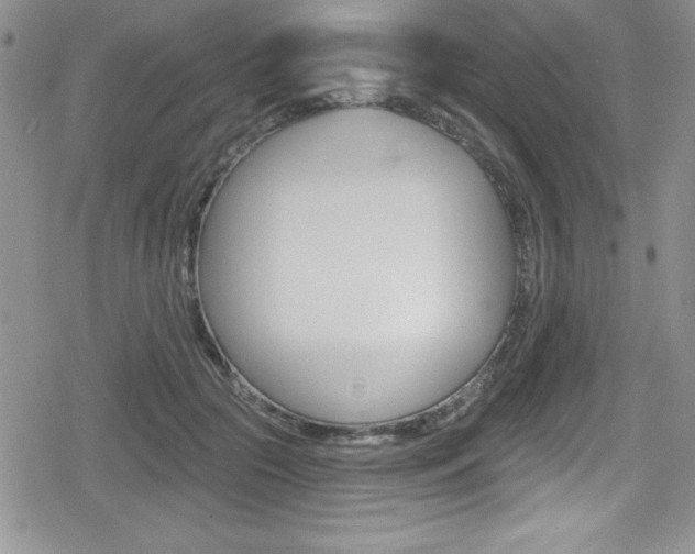 X0000080130553200612080959