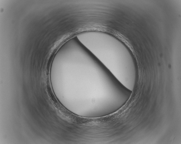 X0000080130578200612080958