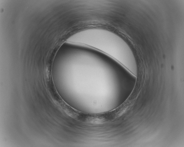 X0000080130597200612080958