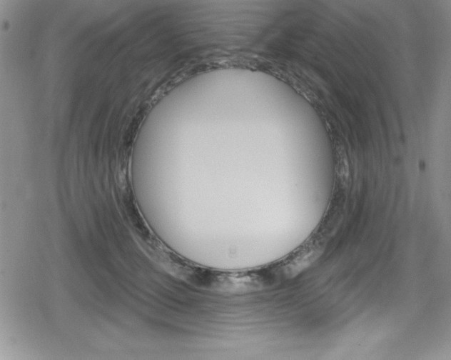 X0000080130607200612080958
