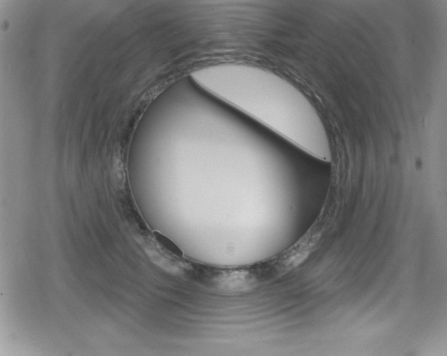 X0000080130609200612080958