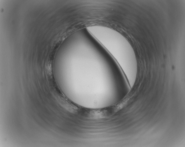 X0000080130613200612080958