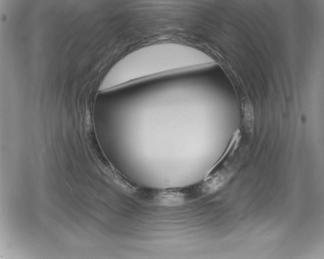 X0000080130617200612080958