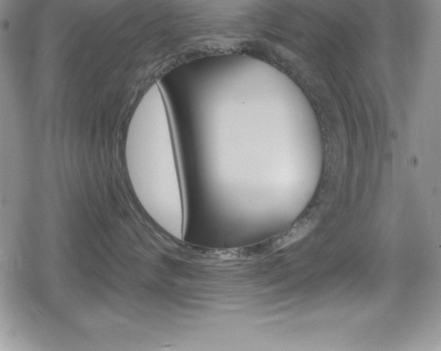 X0000080130624200612080957