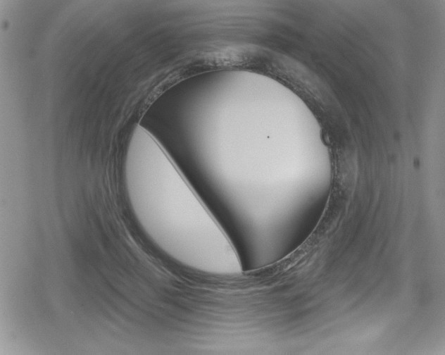 X0000080130645200612080957