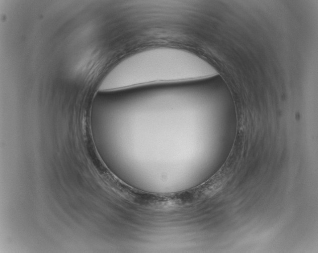 X0000080130646200612080957