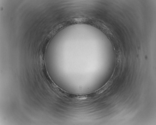 X0000080130651200612080957