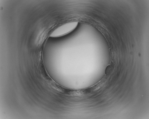 X0000080130652200612080957