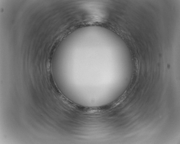 X0000080130657200612080957