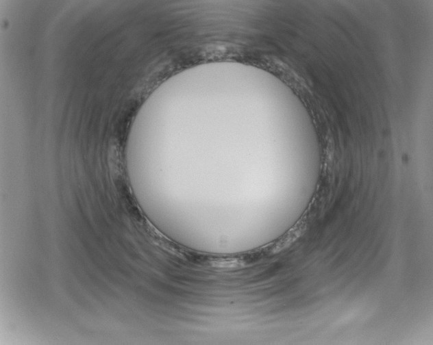 X0000080130659200612080957