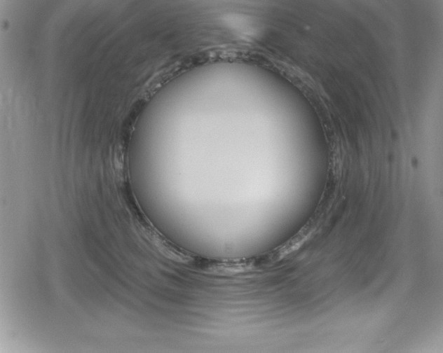 X0000080130661200612080957