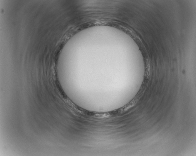 X0000080130667200612080957