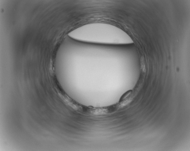 X0000080130670200612080957