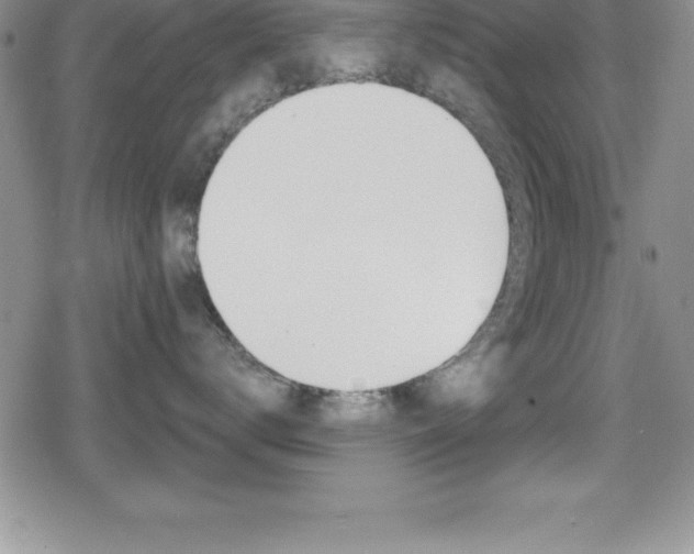 X0000080130672200612080957