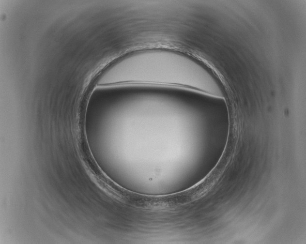 X0000080130677200612080957