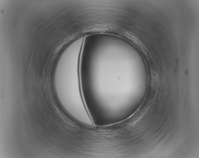 X0000080130681200612080957