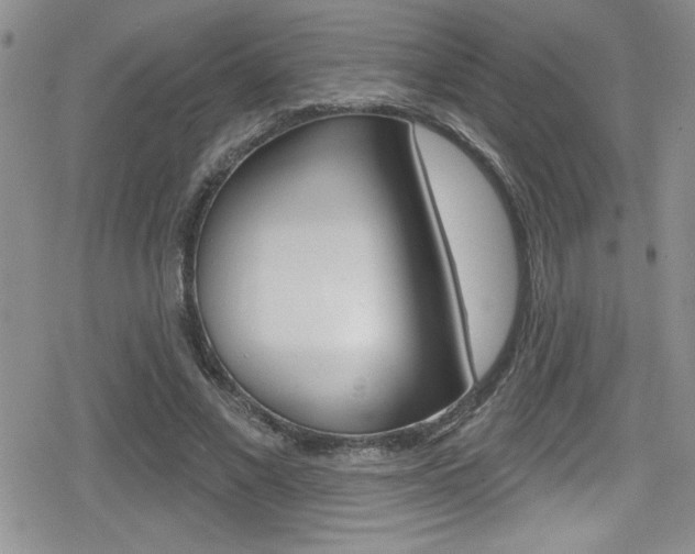 X0000080130685200612080956