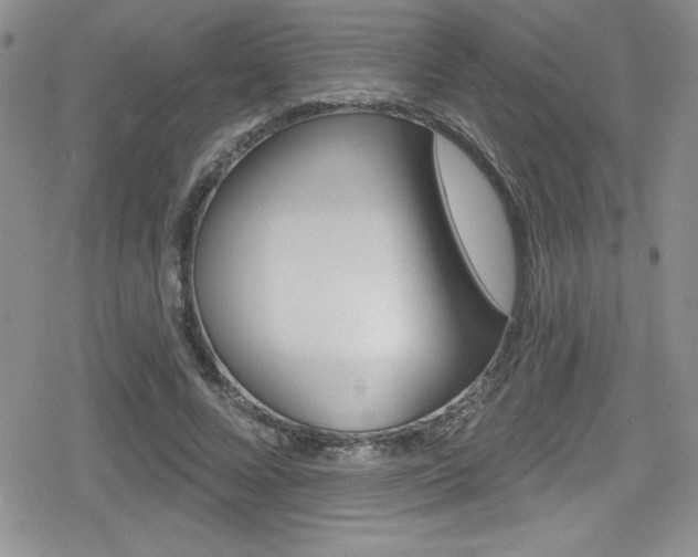 X0000080130688200612080956