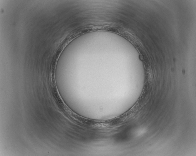 X0000080130691200612080956