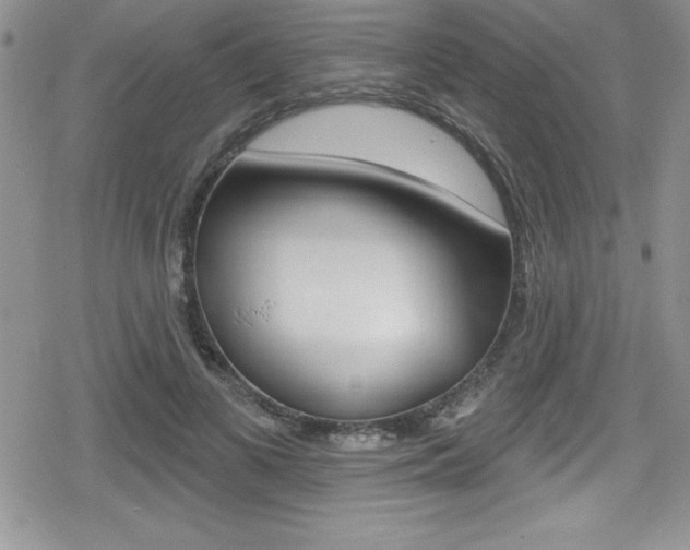 X0000080130693200612080956