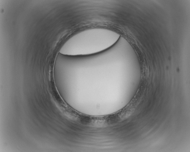 X0000080130694200612080956