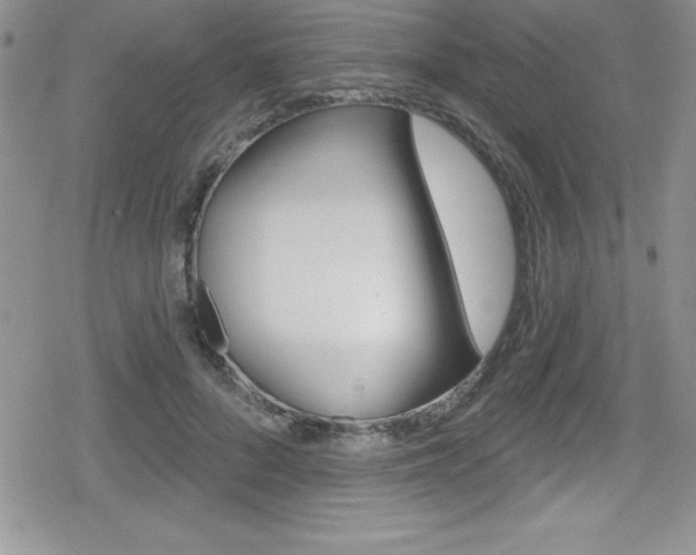 X0000080130696200612080956
