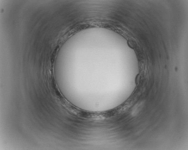 X0000080130702200612080956