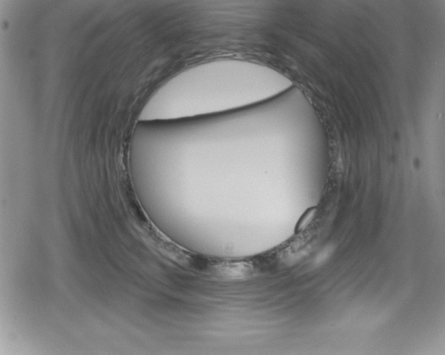 X0000080130711200612080956