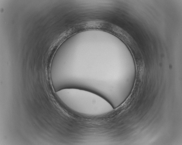 X0000080130729200612080955