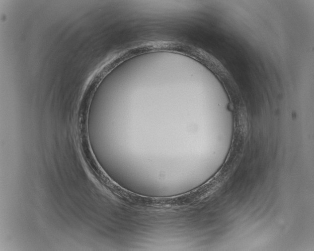 X0000080130730200612080955