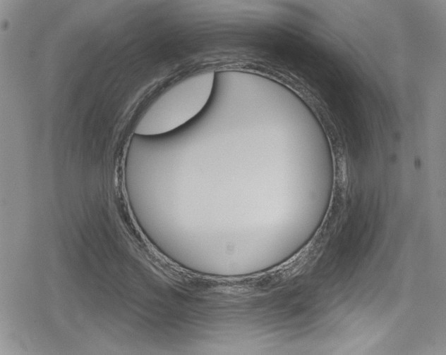 X0000080130733200612080955