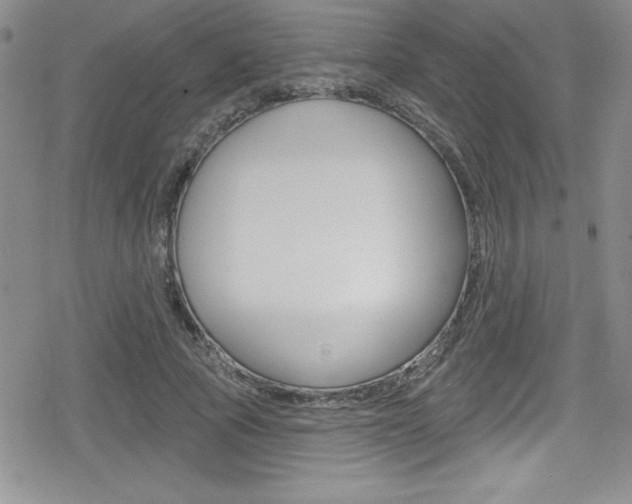 X0000080130737200612080955