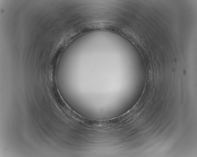 X0000080130739200612080955
